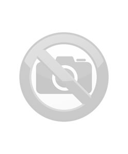 Dynacord RMS 15-CL